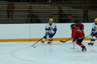 Hastings Girls JV Hockey vs Shakopee  11/16/12