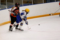 Girls JV Hockey vs White Bear 1/22/13
