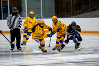 Girls JV Hockey vs Mahtomedi 10-Feb-21