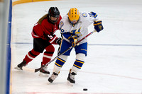 Girls jv Hockey vs Stillwater 15-Nov-16