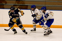 Boys JV Hockey vs Rosemount 11/29/14