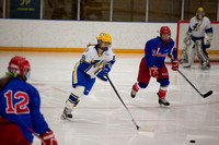 Girls Varsity Hockey vs Simley 1/31/15