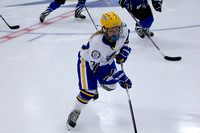 Girls Jv Hockey vs Eastview 11/12/13