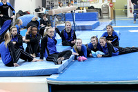 Girls Gymnastics vs Roseville 1/11/12