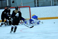 Girls JV Hockey vs East Ridge 11/10/11